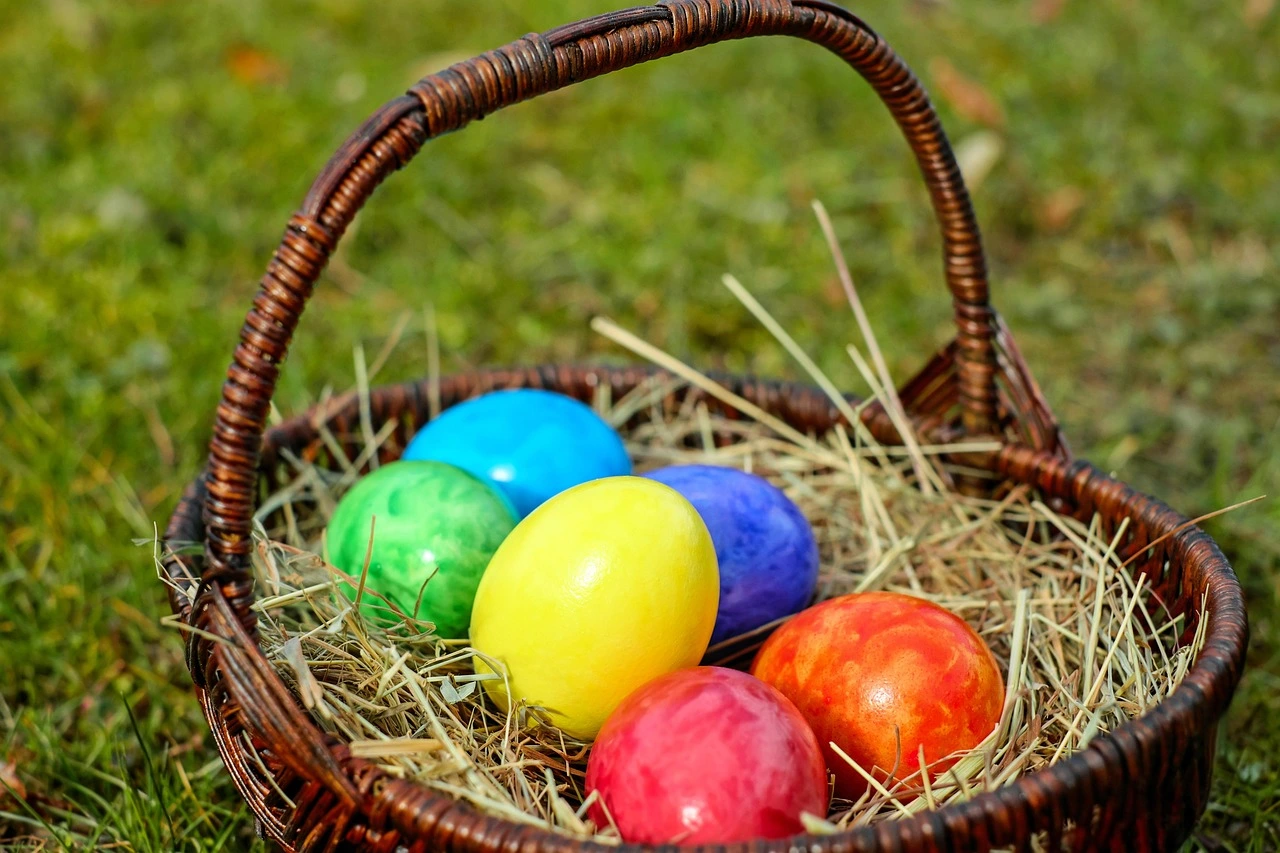 Cesta com ovos coloridos representando a diversificação de investimentos.