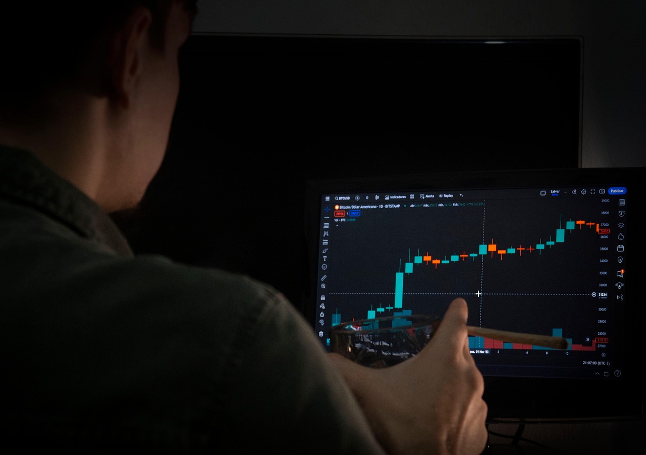 O que são ETFs: investidor analisando gráficos de mercado em um notebook